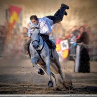 /album/equinos-academia-de-barcelona/cheval-spectacle-2-jpg/